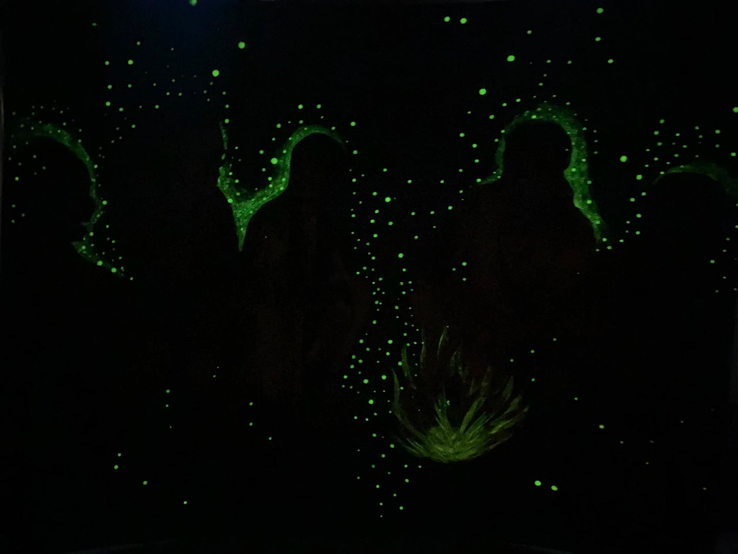 Star Council (LIMITED EDITION)