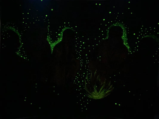 Star Council (LIMITED EDITION)